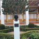 Illustration for article titled Pictures from the Getty Villa